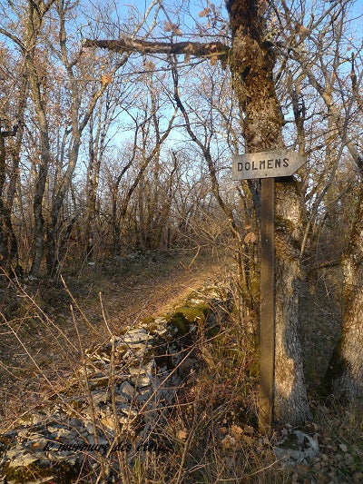 Les dolmens de Martiel