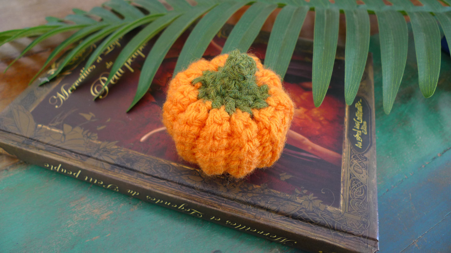 Courge d'automne au Crochet