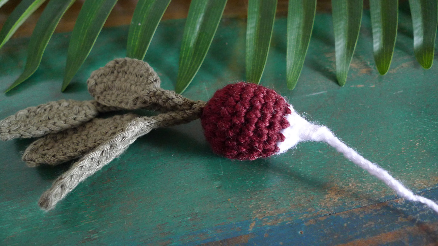 Radis au Crochet