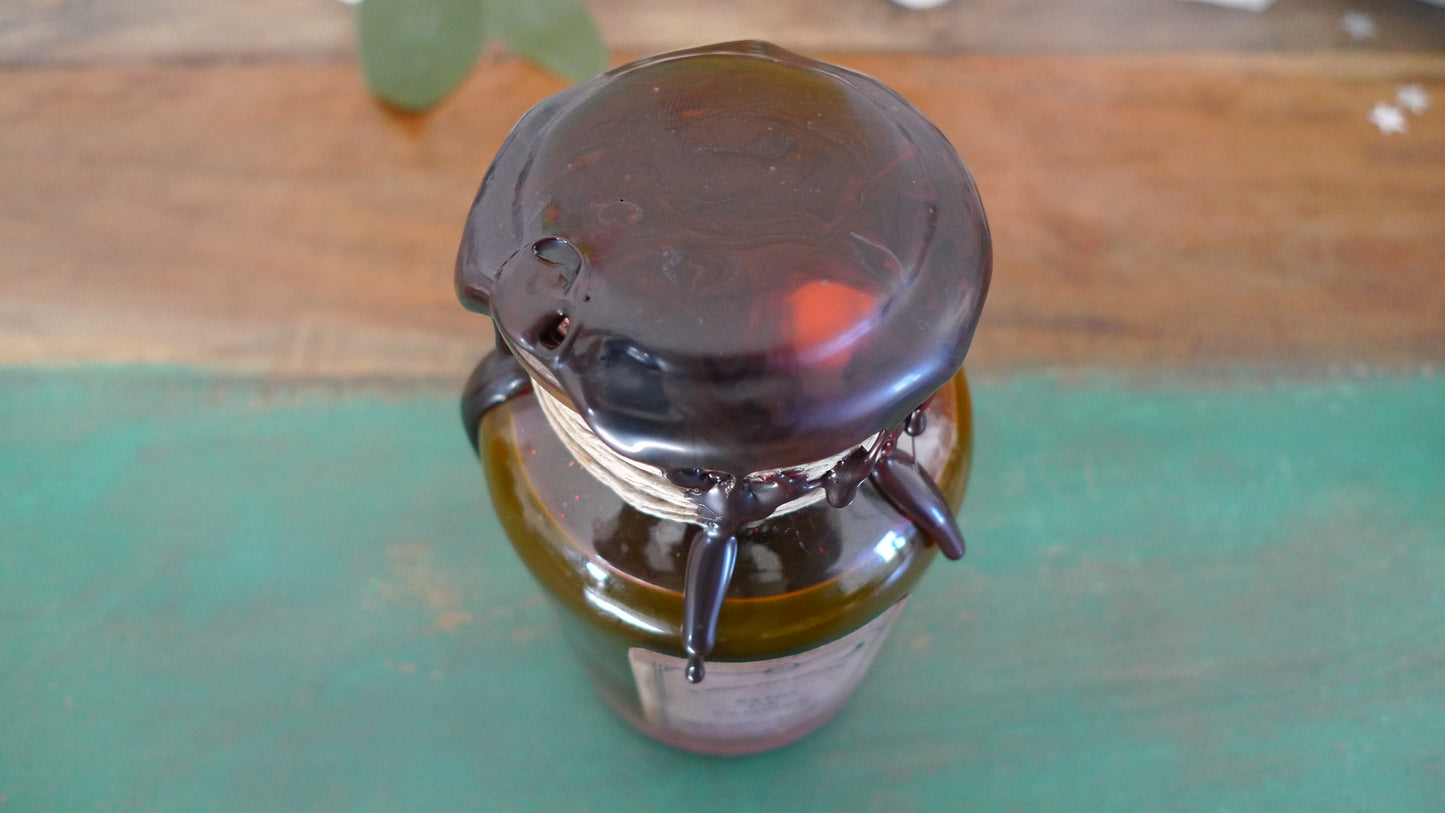 Potion Magique Sang de Vampire