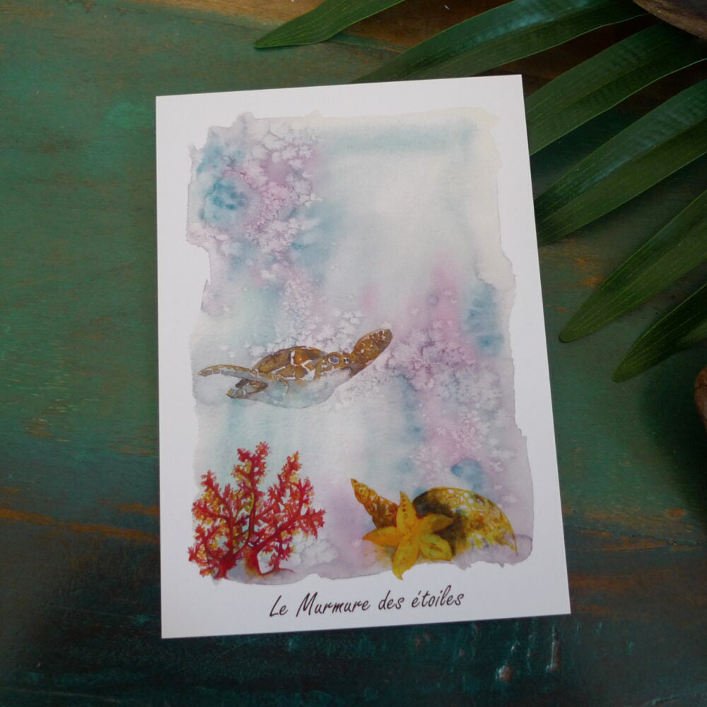aquarelle tortue