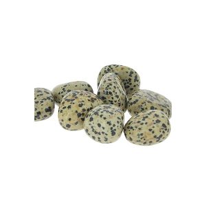 Jaspe dalmatien AA